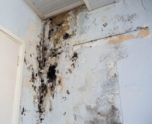 remise en peinture après degat des eaux