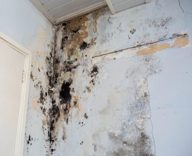 remise en peinture après degat des eaux